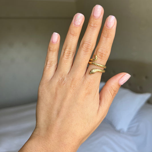 Anillo Serpiente